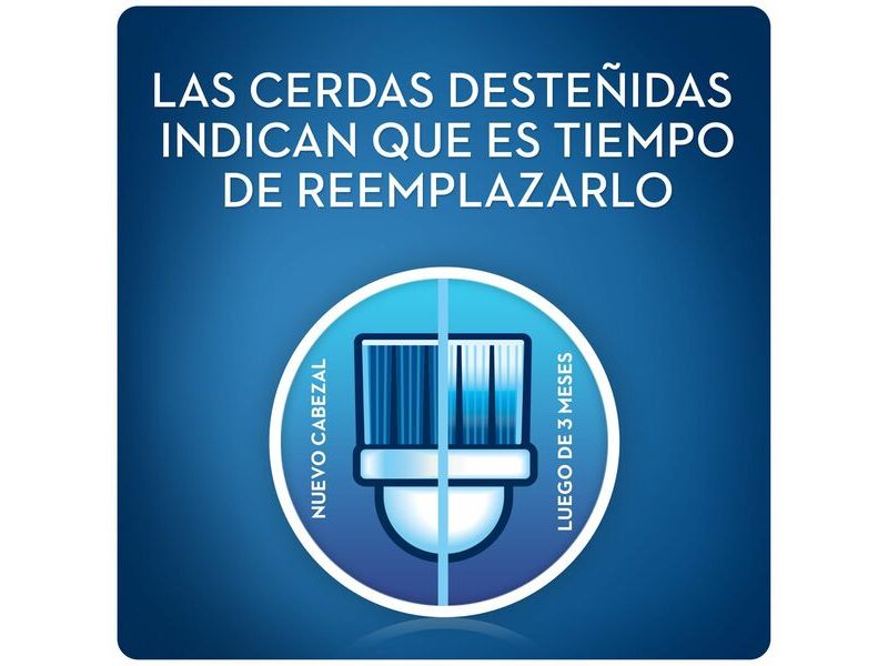 REPUESTOS-CEPILLO-ELECTRICO-ORAL-B-FLOSS-ACTION-2-UN