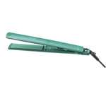 BECHS0000002396_1
