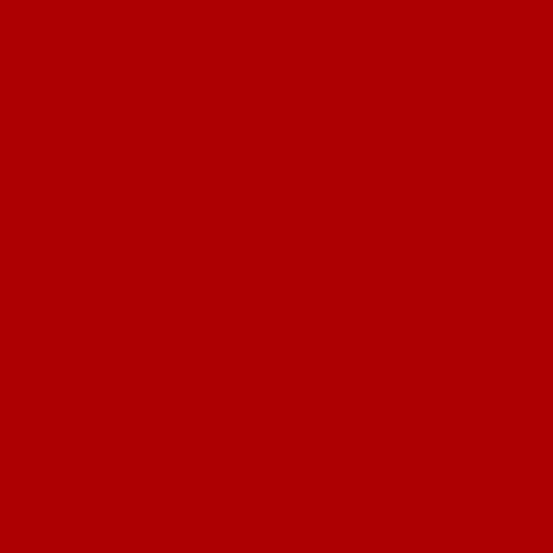3Deluxe Professional 100ml Red