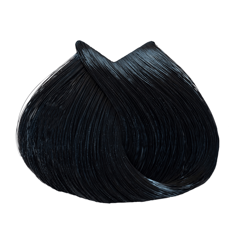 1.0.png
