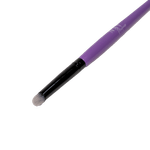 COCCA0000000382-1.png