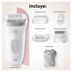 Braun_SE_7_SUMMARY_JUN-2024-04.jpg