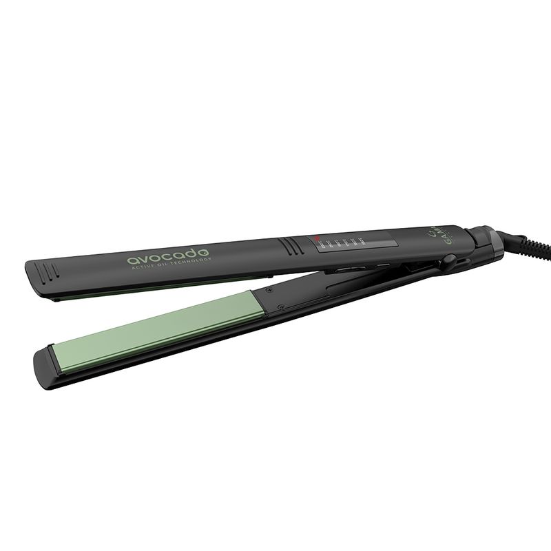 BECHS0000002561_03