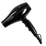 BECHD0000002155--4-