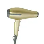 BECHD0000002133 -4-