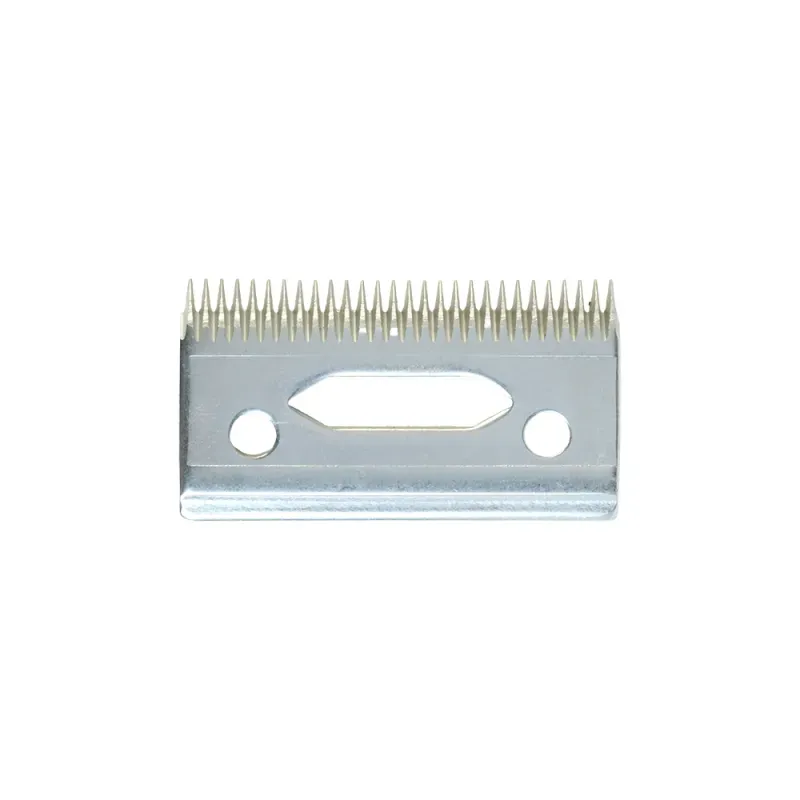 HDCHA0000001097 -5-