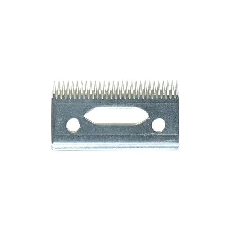 HDCHA0000001099 -4-