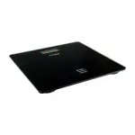 WBCSC0000000042 -4-
