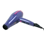 BECHD0000002017--1-