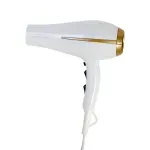 BECHD0000002312--5-