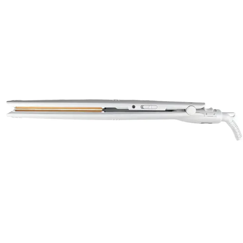 BECHS0000002289--2-