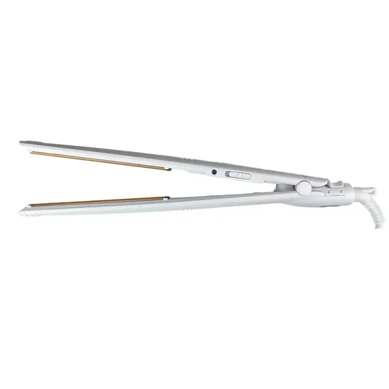 BECHS0000002289--6-