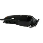BECCP0000000787--6-